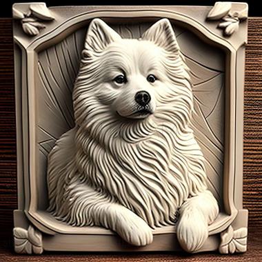 3D model American Eskimo dog (STL)